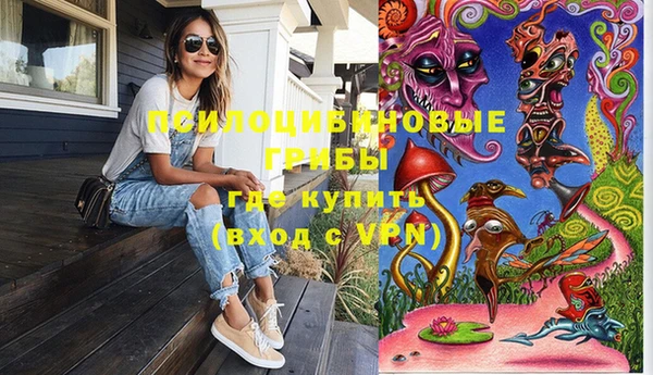 ПСИЛОЦИБИНОВЫЕ ГРИБЫ Наволоки
