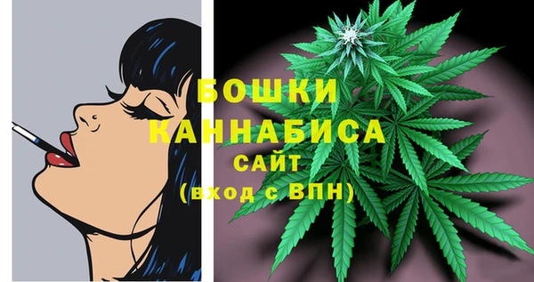 винт Надым