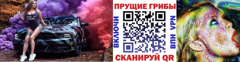 Псилоцибиновые грибы GOLDEN TEACHER  купить закладку  Родники 
